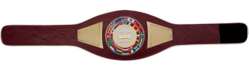 CHAMPIONSHIP BELT PROFLAG2/FLAG/G/WHTGEM - VARIETY OF :LEATHER COLOURS AVAILABLE CHAMPIONSHIP BELT PROFLAG2/FLAG/G/WHTGEM - VARIETY OF :LEATHER COLOURS AVAILABLE